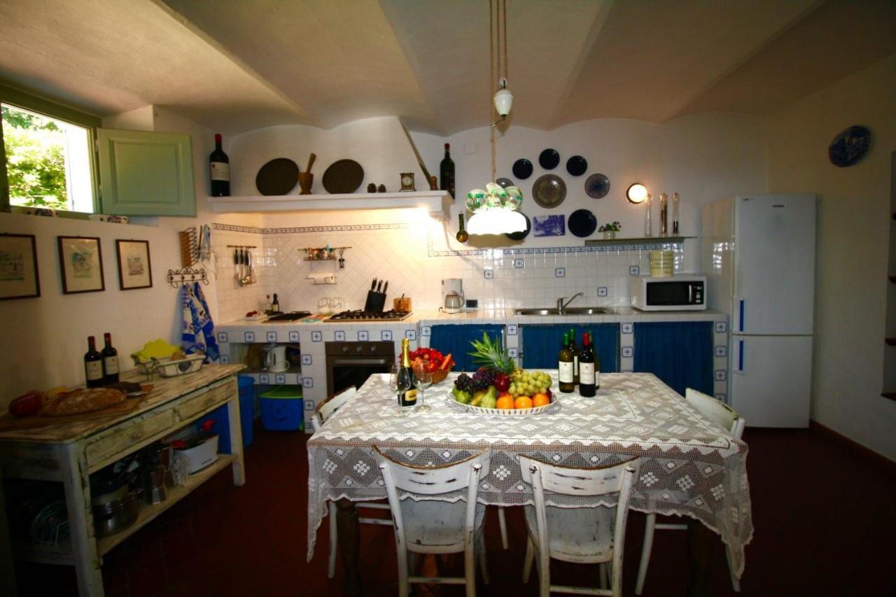 Villa Paradiso Castiglioncello Dış mekan fotoğraf